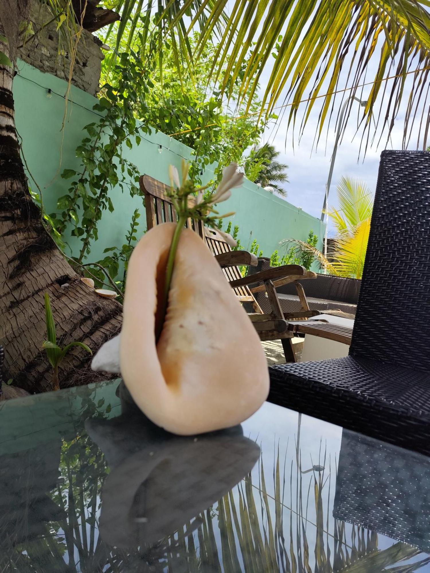 Mamello Beach Club Maldives Feridhoo Exterior foto
